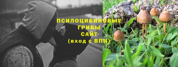синтетический гашиш Богданович