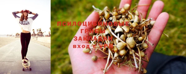 а пвп мука Богородск